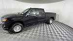 2024 Chevrolet Silverado 1500 Double Cab RWD, Pickup for sale #T14179 - photo 5