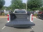2019 Chevrolet Silverado 1500 Crew Cab 4WD Pickup for sale #GM17609B - photo 8