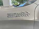 2020 Chevrolet Silverado 1500 Crew Cab 4WD Pickup for sale #GM17753A - photo 4