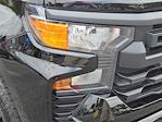 2025 Chevrolet Silverado 1500 Crew Cab 4x4 Pickup for sale #11968 - photo 6