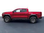 2025 Chevrolet Colorado Crew Cab 4x4 Pickup for sale #12005 - photo 8