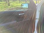 2023 GMC Sierra 1500 Crew Cab 4WD Pickup for sale #186585A - photo 13