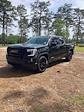 2021 GMC Sierra 1500 Crew Cab 4WD Pickup for sale #369756A - photo 3