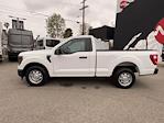2023 Ford F-150 Regular Cab RWD Pickup for sale #B33153 - photo 14