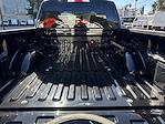 2025 Ford F-150 SuperCrew Cab RWD Pickup for sale #B33740 - photo 8