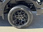 2025 Ford F-150 SuperCrew Cab RWD Pickup for sale #B33740 - photo 9