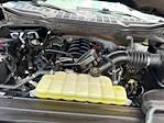 2023 Ford F-150 SuperCrew Cab RWD Pickup for sale #B50111 - photo 31