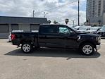 2023 Ford F-150 SuperCrew Cab RWD Pickup for sale #B50111 - photo 6