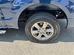 2019 Ford F-150 SuperCrew Cab 4x2 Pickup for sale #B50160 - photo 9