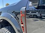 2024 Ford F-250 Crew Cab 4x4 Pickup for sale #G42466T - photo 9