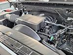 2025 Chevrolet Silverado 2500 Regular Cab 4x2, Pickup for sale #6250046 - photo 27