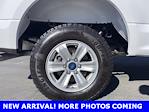 2019 Ford F-150 Super Cab 4WD Pickup for sale #P2853 - photo 10