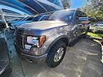 2012 Ford F-150 SuperCrew Cab 4x4 Pickup for sale #CFC08145 - photo 3