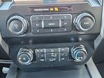 2019 Ford F-150 SuperCrew Cab 4x2 Pickup for sale #KKD23937 - photo 12