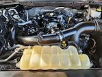 2021 Ford F-150 SuperCrew Cab 4x2 Pickup for sale #MFC29911 - photo 30