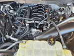 2021 Ford F-150 SuperCrew Cab 4x2 Pickup for sale #MFC87338 - photo 31