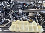 2021 Ford F-150 Regular Cab 4x2 Pickup for sale #MKE39999 - photo 29