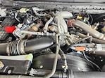 2023 Ford F-350 Crew Cab SRW 4x4 Pickup for sale #PED78463 - photo 31