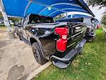 2023 Chevrolet Silverado 1500 Crew Cab 4x4 Pickup for sale #PG165596 - photo 5