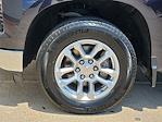 2024 Chevrolet Silverado 1500 Crew Cab 4x2 Pickup for sale #RG124213 - photo 18