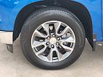 2024 Chevrolet Silverado 1500 Crew Cab 4x2 Pickup for sale #RG261424 - photo 18