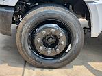 New 2024 Chevrolet Silverado 6500 Work Truck Regular Cab Cab Chassis for sale #RH364400 - photo 14
