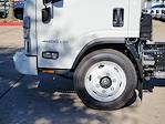 2024 Chevrolet LCF 4500HG Regular Cab 4x2 Cab Chassis for sale #RS207946 - photo 13