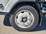 2025 Chevrolet LCF 5500XG Regular Cab 4x2 Cab Chassis for sale #SSR00205 - photo 14