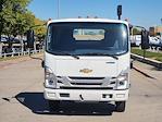 2025 Chevrolet LCF 5500XG Regular Cab 4x2 Cab Chassis for sale #SSR00205 - photo 8