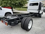 2025 Chevrolet LCF 4500HG Crew Cab 4x2 Cab Chassis for sale #SS201740 - photo 2