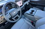 New 2025 Ford F-150 XL Regular Cab for sale #SKF86052 - photo 10