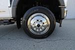 New 2024 Ford F-550 Regular Cab Cab Chassis for sale #4265 - photo 10