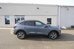 New 2026 Ford Escape ST-Line Select for sale #6009 - photo 12
