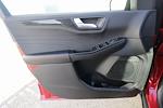 New 2026 Ford Escape ST-Line Select for sale #6916 - photo 20