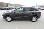 New 2026 Ford Escape Active for sale #6956 - photo 11