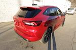 New 2026 Ford Escape ST-Line Elite for sale #6968 - photo 2
