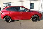 New 2026 Ford Escape ST-Line Elite for sale #6968 - photo 17