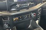 2023 Ford F-150 SuperCrew Cab RWD Pickup for sale #00023956 - photo 20