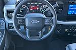2024 Ford F-250 Crew Cab 4WD Pickup for sale #00024021 - photo 8