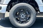 2025 Ford F-250 Crew Cab 4WD Pickup for sale #00250124 - photo 23