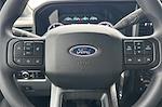 2025 Ford F-250 Crew Cab 4WD Pickup for sale #00250125 - photo 21