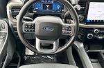 2025 Ford F-150 SuperCrew Cab 4WD Pickup for sale #00250142 - photo 14
