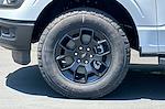 2025 Ford F-150 SuperCrew Cab 4WD Pickup for sale #00250305 - photo 23