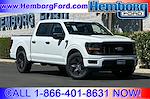 2025 Ford F-150 SuperCrew Cab RWD Pickup for sale #00250338 - photo 1