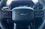 2025 Ford F-150 SuperCrew Cab RWD Pickup for sale #00250345 - photo 21