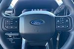 2025 Ford F-150 SuperCrew Cab RWD Pickup for sale #00250444 - photo 21