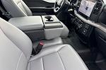 New 2025 Ford F-150 XL Regular Cab for sale #00250477 - photo 14
