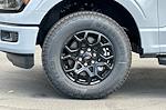 2025 Ford F-150 SuperCrew Cab 4WD Pickup for sale #00250506 - photo 24