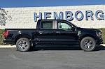 2025 Ford F-150 SuperCrew Cab RWD Pickup for sale #00250594 - photo 4