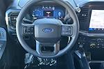 2025 Ford F-150 SuperCrew Cab 4WD Pickup for sale #00250683 - photo 14